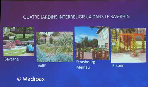 La diversité, vécue dans le cadre d’une laïcité bien comprise, peut favoriser la fraternité et la paix civile