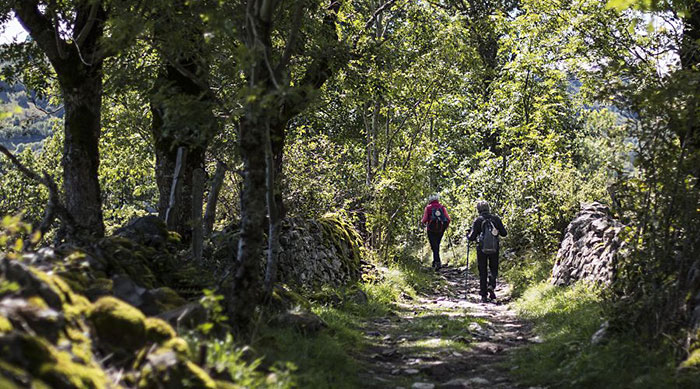 Une marche intergénérationnelle dans le Vercors sous le signe de la résistance