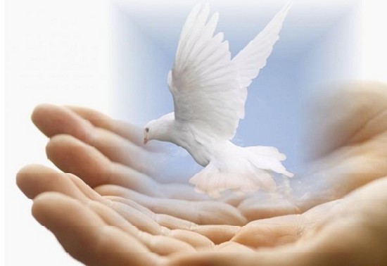 Avis aux terroristes : notre religion est de paix, d’amour et de sincérité