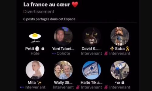 Après les propos racistes tenus dans un Space avec Mila, Aurore Bergé réagit, le CCIE aussi