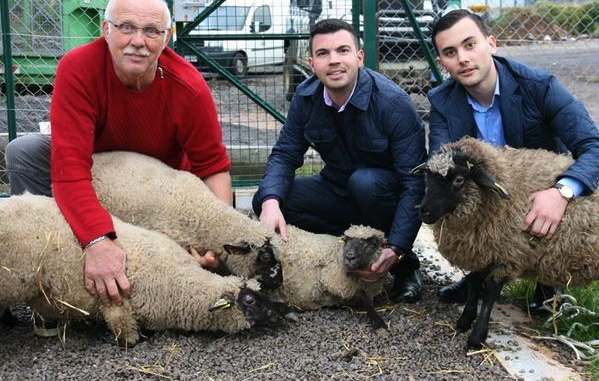 Fabien Engelmann, le maire FN de Hayange, prend la pose avec les moutons qu’il dit avoir « sauvé » des musulmans qui célèbrent l'Aïd.