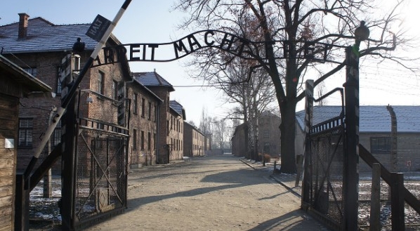 Aux lendemains du 80e anniversaire de la libération du camp d'Auschwitz : mémoire et espérance