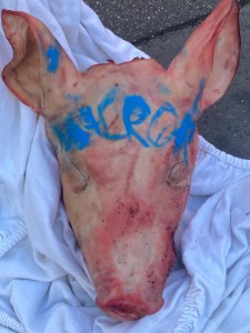 Islamophobie : l'indignation après la découverte de têtes de cochon devant six mosquées de Paris et de la région