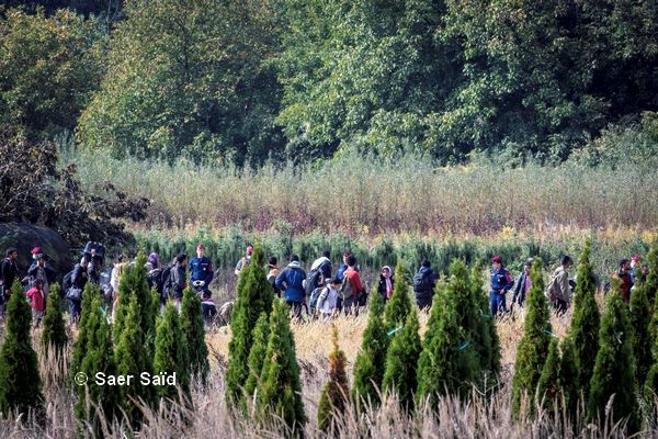 Traversée, sous contrôle policier, de la frontière croato-hongroise à travers des plantations de sapins. Zakany (Hongrie), octobre 2015. © Saer Saïd