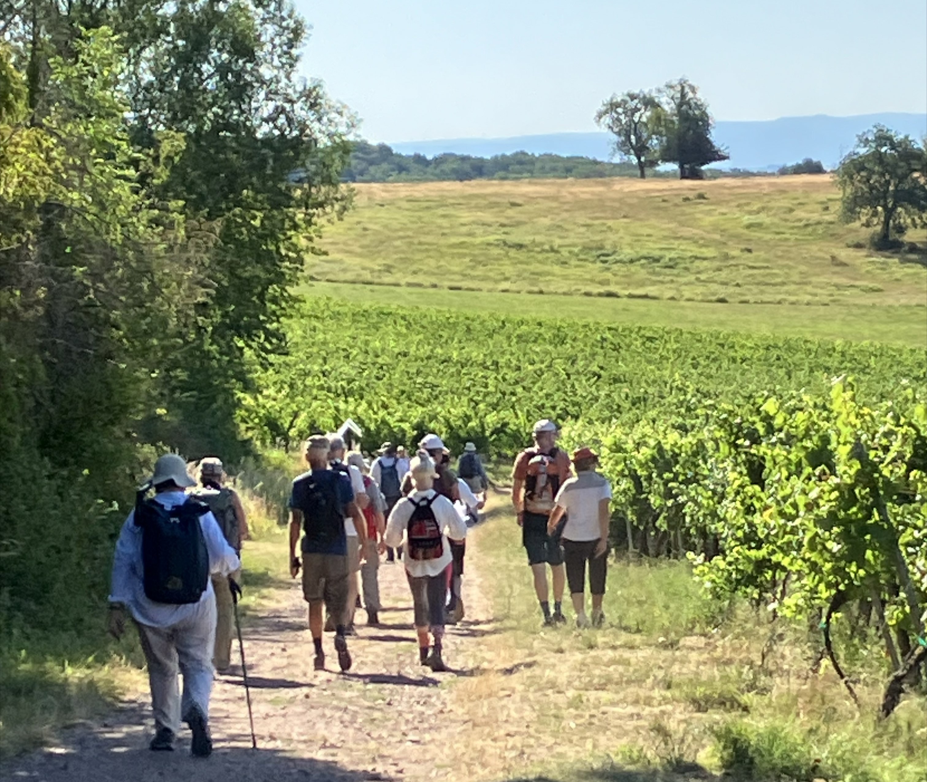 La marche annuelle de l'association Compostelle-Cordoue a eu lieu cette année 2026 du 11 au 18 juillet. © Compostelle-Cordoue