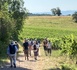 Compostelle-Cordoue : cap sur les Vosges du Nord pour la marche annuelle