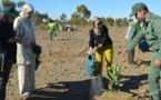 COP22 : un million d’arbres plantés en 24 heures au Maroc