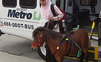 Le poney, planche de salut pour une jeune aveugle musulmane