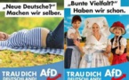 Allemagne : l'entrée tonitruante de l’AfD, parti islamophobe et xénophobe, au Bundestag