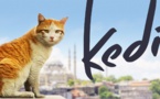 Kedi, des chats, des hommes... mais aussi de la grâce, de l’universel et de l’amour