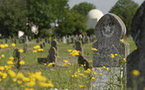 L'expérience de la mort : visiter les cimetières réveille les cœurs