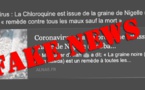 Gare aux fake news : chloroquine, nigelle et coronavirus, chronique d'une désinformation
