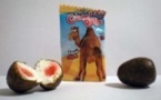 Des testicules de chameaux à mâcher en vente au Maroc