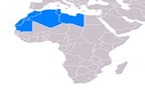 Nicolas Sarkozy en tournée au Maghreb