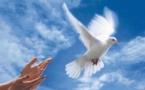 GAIC : message de paix à l’occasion de Noël 2014