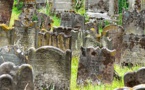 Près de 300 tombes profanées dans un cimetière juif du Bas-Rhin