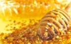 Ramadan et naturopathie prophétique