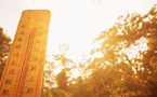 Face à l'exceptionnelle canicule en France, les mosquées contraintes d'adapter le culte