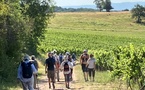 Compostelle-Cordoue : cap sur les Vosges du Nord pour la marche annuelle