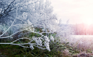 À l’approche du Ramadan, de l'importance de redonner vie à son cœur