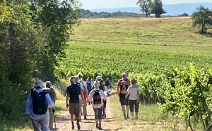 Compostelle-Cordoue : cap sur les Vosges du Nord pour la marche annuelle