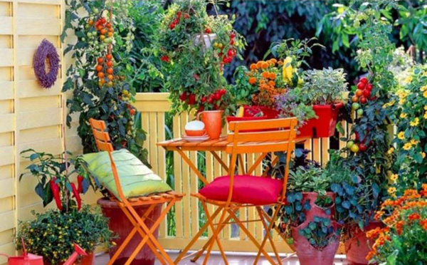Le jardinage en ville, c’est possible !