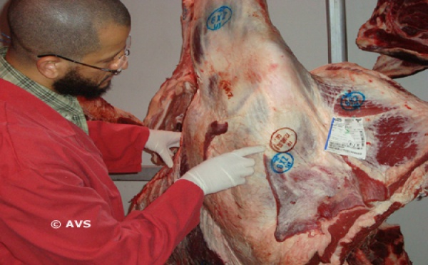 Les dessous du halal : abattage rituel, électronarcose, assommage, qu'en est-il ?