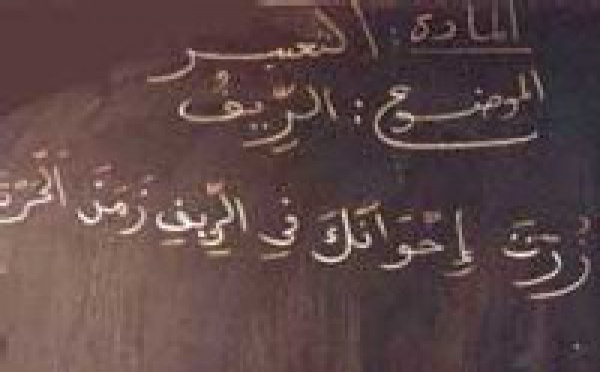 Parler l'arabe en Afrique Noire, le cas du Sénégal