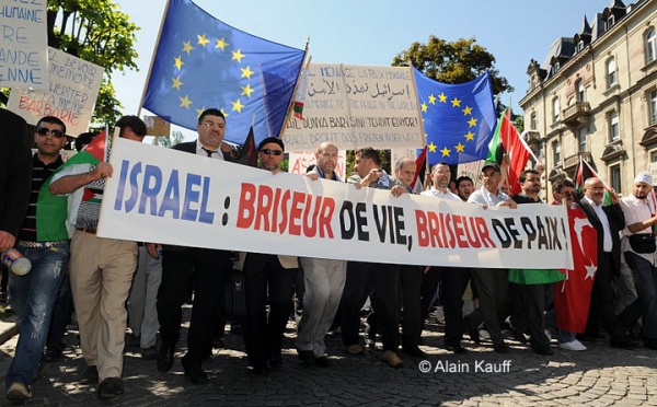 Strasbourg : près de 4 000 personnes devant le Conseil de l'Europe pour le respect du droit international à Gaza