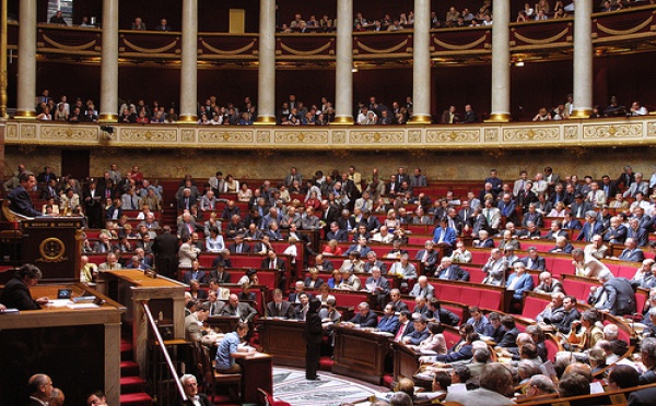 Législatives : vers une Assemblée nationale un brin colorée ?