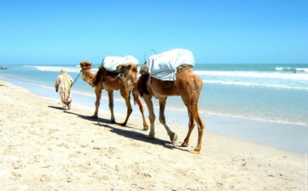 La Tunisie à la reconquête d’un tourisme en perte de vitesse