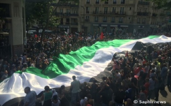 Manif pour Gaza : les appels à mobilisation renforcés en France