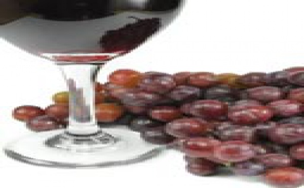 Al-Qardaoui et la Fatwa sur l'alcool