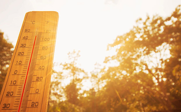 Face à l'exceptionnelle canicule en France, les mosquées contraintes d'adapter le culte