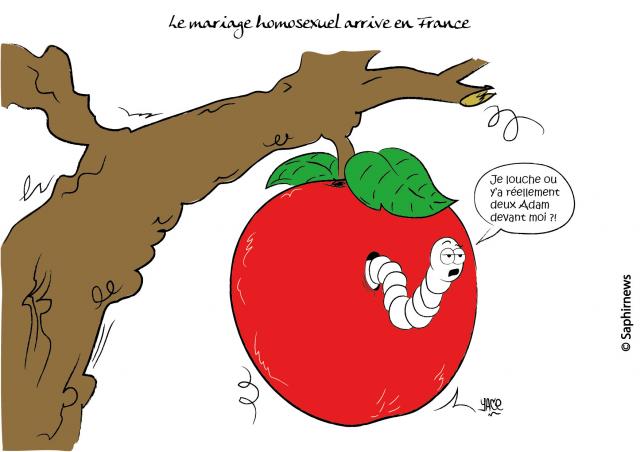 Le mariage homosexuel arrive en France