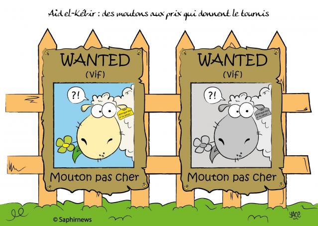 Aïd el-Kébir, des moutons aux prix qui donnent le tournis Aïd el-Kébir, des moutons aux prix qui donnent le tournis