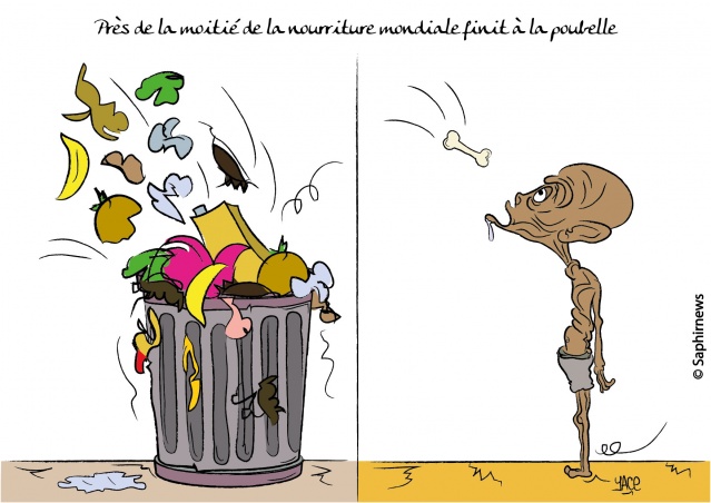 Près de la moitié de la nourriture mondiale finit à la poubelle