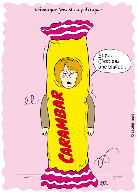 Véronique Genest en politique