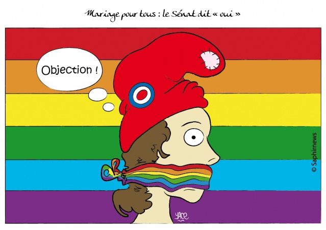 Mariage pour tous, le Sénat dit « oui »