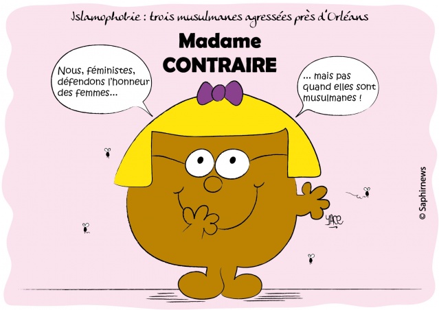 Trois musulmanes agressées près d'Orléans