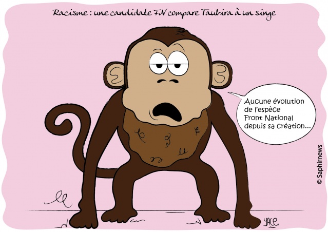 Une candidate FN compare Taubira à un singe