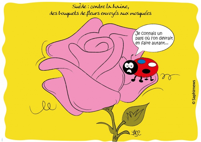 Des bouquets de fleurs envoyés aux mosquées en Suède