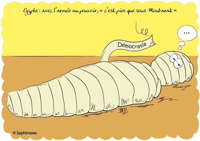 Egypte, avec l'armée au pouvoir, c'est pire que sous Moubarak