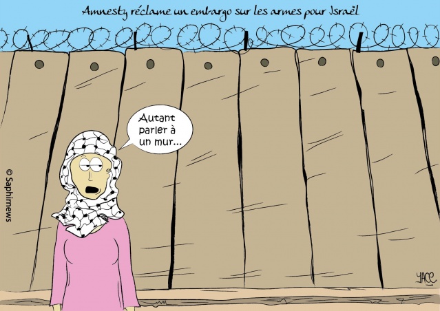 Amnesty réclame un embargo sur les armes pour Israël