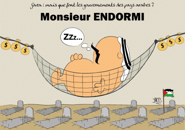 Gaza, mais que font les gouvernements des pays arabes