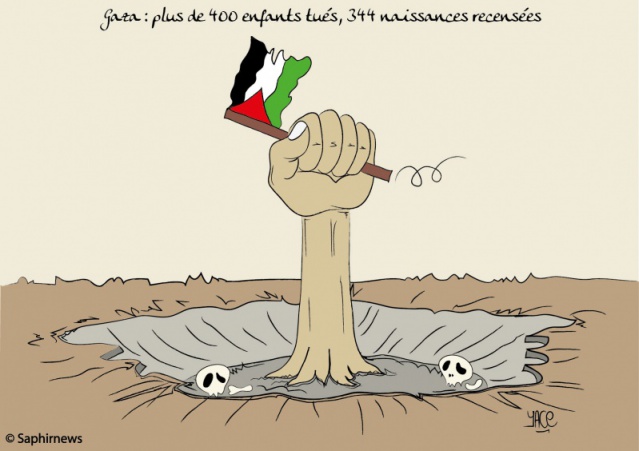 Gaza, plus de 400 enfants tués, 344 naissances recensées