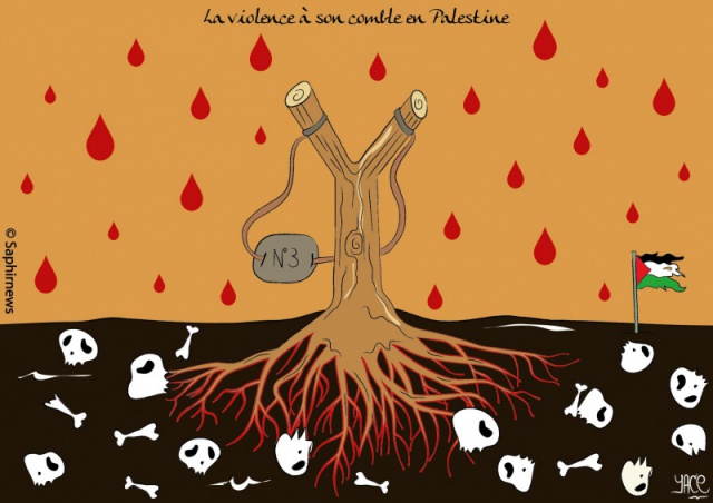 Violence à son comble en Palestine