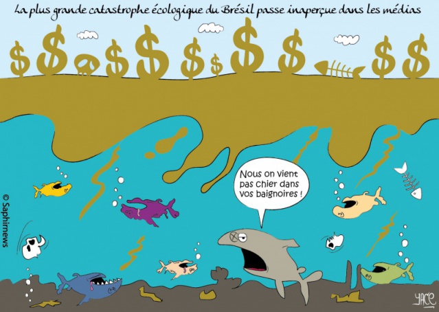 Catastrophe écologique au Brésil