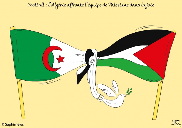 Football, l'Algérie accueille la Palestine