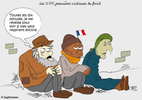 SDF et froid